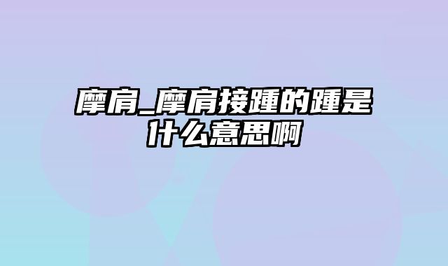 摩肩_摩肩接踵的踵是什么意思啊