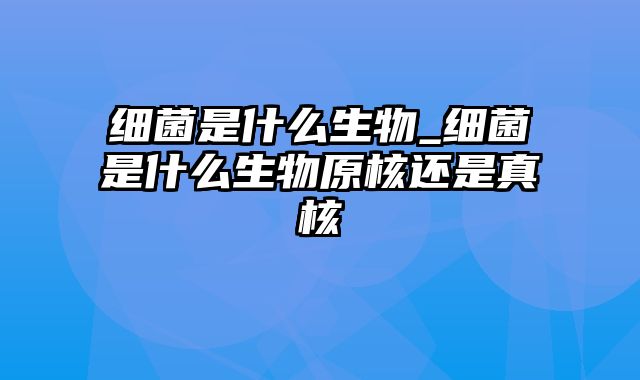 细菌是什么生物_细菌是什么生物原核还是真核