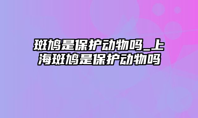 斑鸠是保护动物吗_上海斑鸠是保护动物吗