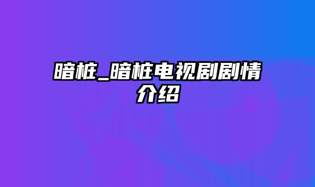 暗桩_暗桩电视剧剧情介绍