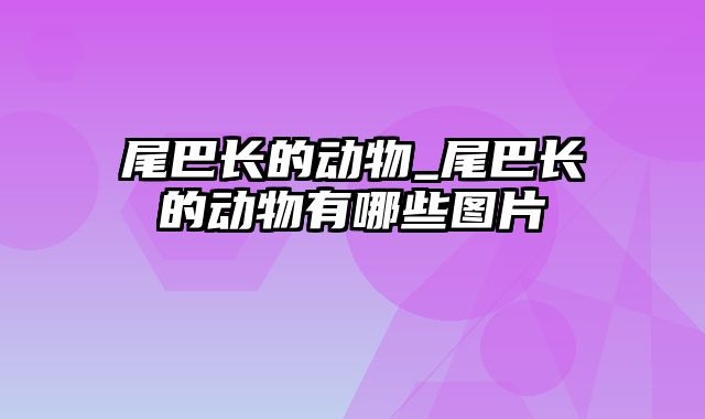 尾巴长的动物_尾巴长的动物有哪些图片