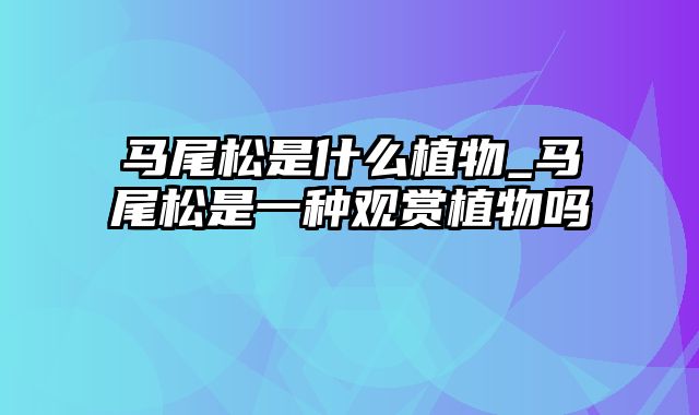 马尾松是什么植物_马尾松是一种观赏植物吗