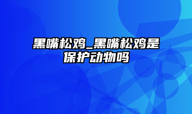 黑嘴松鸡_黑嘴松鸡是保护动物吗