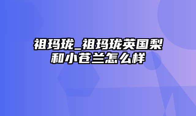 祖玛珑_祖玛珑英国梨和小苍兰怎么样