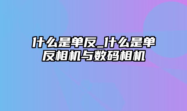 什么是单反_什么是单反相机与数码相机