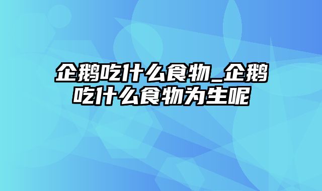 企鹅吃什么食物_企鹅吃什么食物为生呢