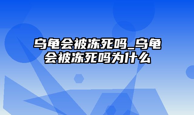 乌龟会被冻死吗_乌龟会被冻死吗为什么