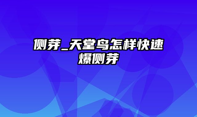 侧芽_天堂鸟怎样快速爆侧芽