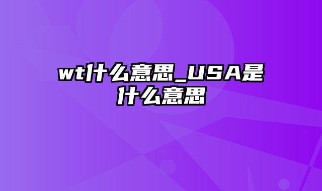 wt什么意思_USA是什么意思