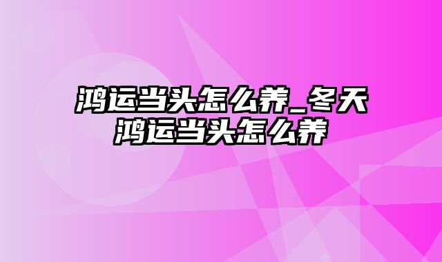 鸿运当头怎么养_冬天鸿运当头怎么养