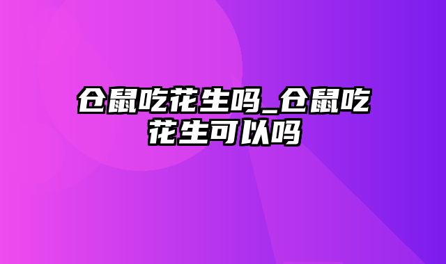 仓鼠吃花生吗_仓鼠吃花生可以吗