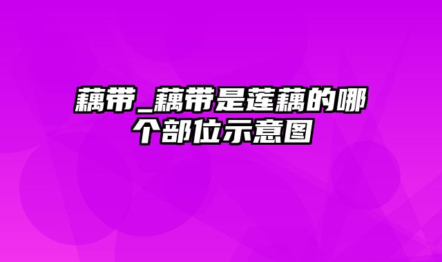 藕带_藕带是莲藕的哪个部位示意图