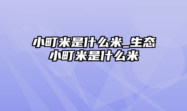 小町米是什么米_生态小町米是什么米