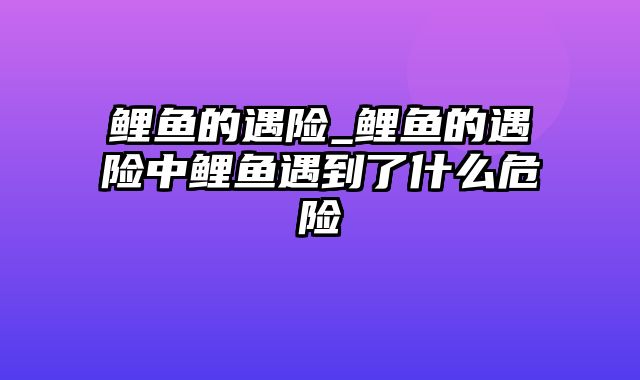 鲤鱼的遇险_鲤鱼的遇险中鲤鱼遇到了什么危险