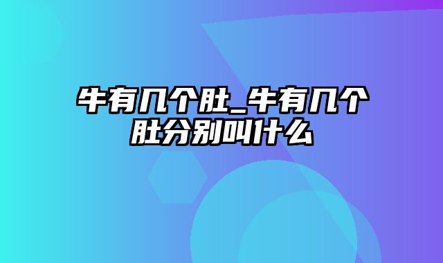 牛有几个肚_牛有几个肚分别叫什么