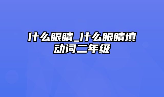 什么眼睛_什么眼睛填动词二年级