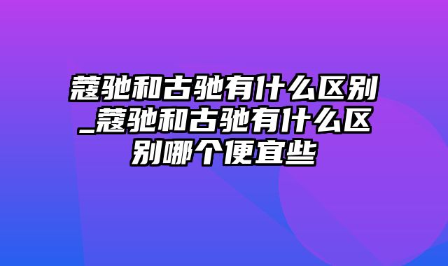 蔻驰和古驰有什么区别_蔻驰和古驰有什么区别哪个便宜些