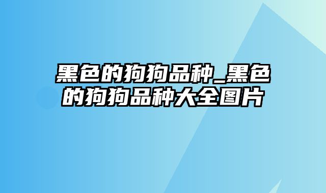 黑色的狗狗品种_黑色的狗狗品种大全图片