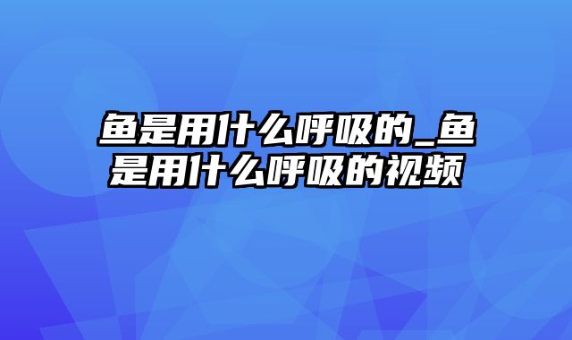 鱼是用什么呼吸的_鱼是用什么呼吸的视频