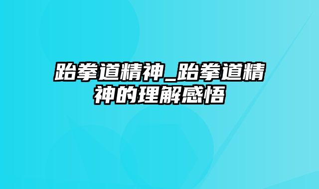 跆拳道精神_跆拳道精神的理解感悟