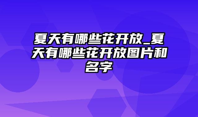 夏天有哪些花开放_夏天有哪些花开放图片和名字