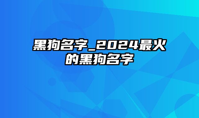 黑狗名字_2024最火的黑狗名字